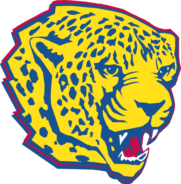 South Alabama Jaguars 1997-2007 Partial Logo t shirts DIY iron ons